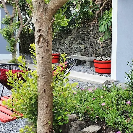 Casinha De Nesquim Villa Calheta de Nesquim Exterior photo