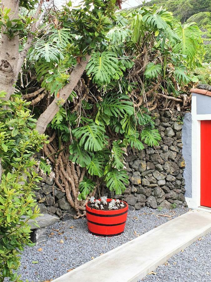 Casinha De Nesquim Calheta de Nesquim